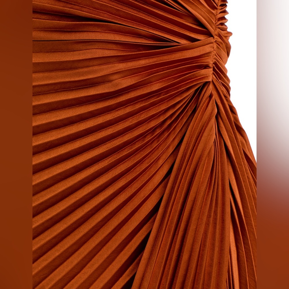 A.L.C. Layla Pleated Gown in Red Rock - Picture 6 of 8